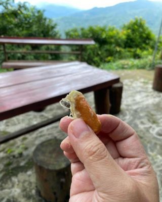 bibit durian chanee kaki 3 super Sumatra Selatan