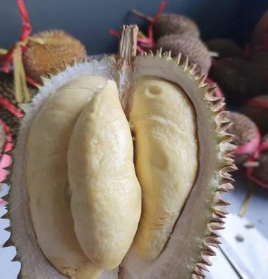 bibit durian matahari 80 cm Jawa Timur