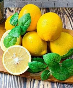 bibit jeruk lemon california berbuah jeruk lemon Padang Sidempuan