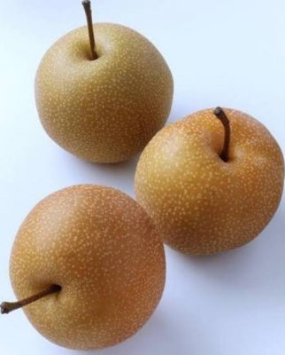 bibit pear coklat asia Lhokseumawe