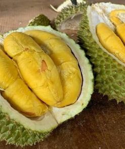 bibit durian musang king kaki 3 tinggi 1 1 5 meter Kalimantan Utara