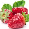 beli 2 gratis 1 bibit unggul bibit buah strawberry holland Surakarta