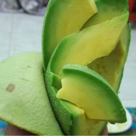 bibit alpukat mentega jumbo hasil okulasi manis dan genjah Kalimantan Selatan