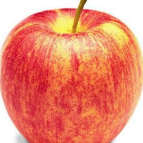 Bibit Buah Apel Tanaman Royal Gala Sabang