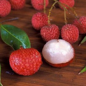 Bibit Buah Leci Dataran Rendah Aceh Besar