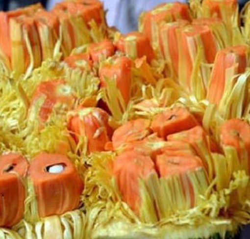 Bibit Buah Nangka Mini Super Orange Padang Pariaman