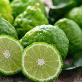 bibit duku jeruk keprok Pekalongan