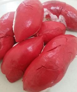 bibit durian merah asli Mataram