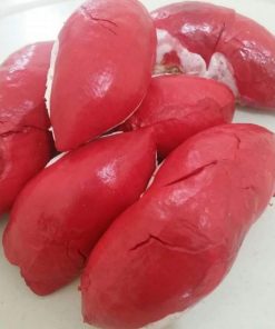 bibit durian merah asli Tangerang