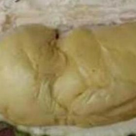 Bibit Durian Namlung Buah Pohon Aceh Jaya