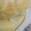 Bibit Durian Namlung Buah Tnm Cumasi Teluk Wondama