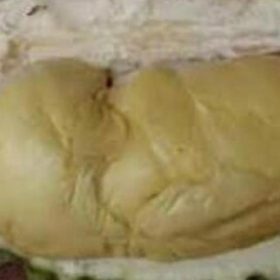 Bibit Durian Namlung Pohon Sumbawa Barat