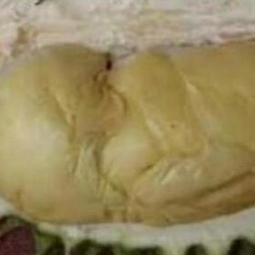 Bibit Durian Namlung Super Pohon Aceh Selatan