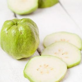 bibit jambu biji kristal Pontianak