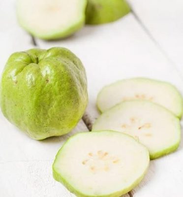 bibit jambu biji kristal Pontianak