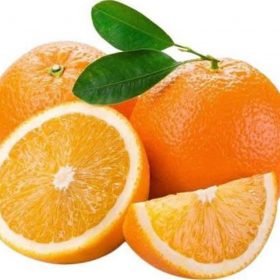 bibit jeruk sunkist navel Pariaman