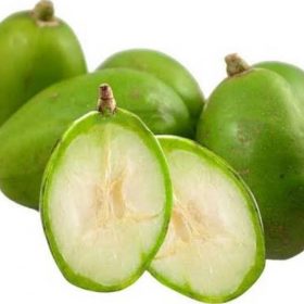 bibit kedondong super manis Tomohon