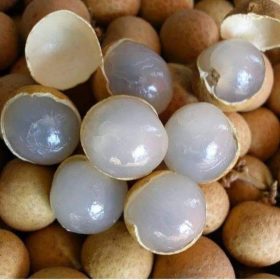 bibit kelengkeng new kristal unggul Kalimantan Utara