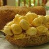 bibit nangka cempedak Bali