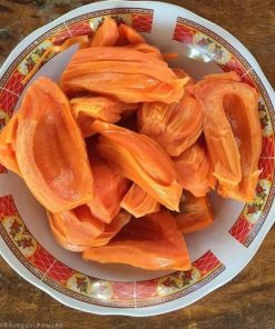 bibit nangka merah asli manis hasil okulasi tanaman nangka daging merah Sulawesi Utara