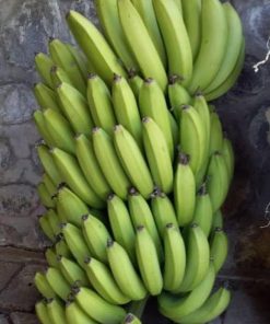 bibit pisang ambon warangan unggul cepat berbuah Banjarmasin