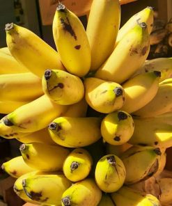 bibit pisang barlin super Sulawesi Tenggara