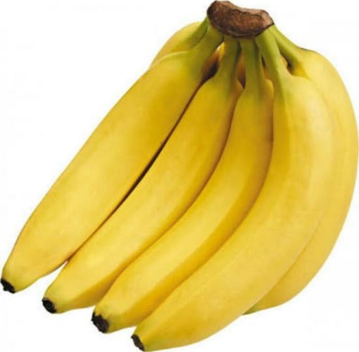 bibit pisang cavendish Jawa Tengah