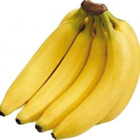 bibit pisang cavendish pisang kavendis unggul Nusa Tenggara Barat