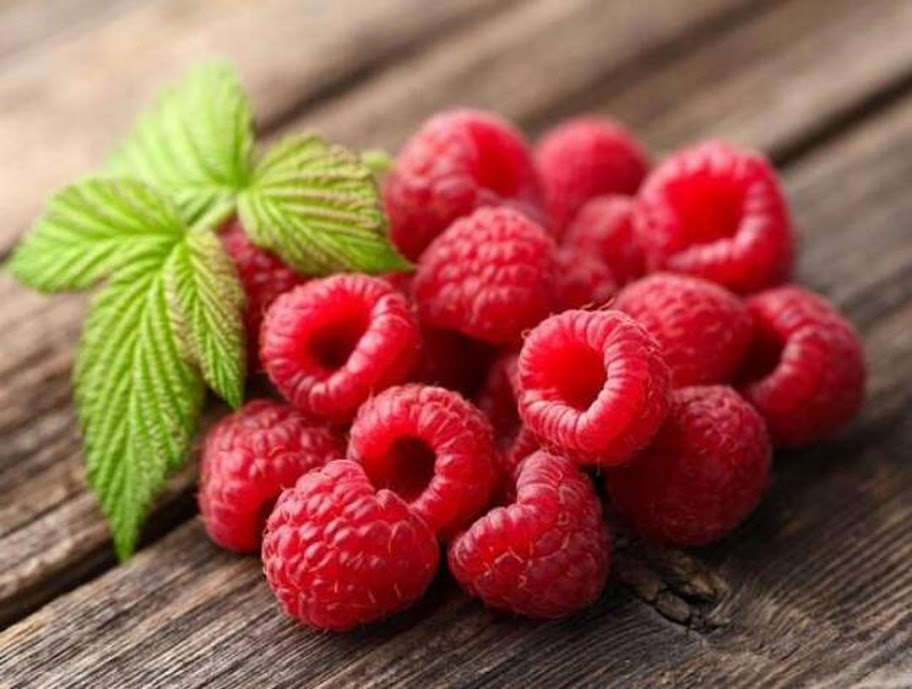 Gambar Produk bibit raspberry merah kaya manfaat Sorong
