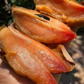 bibit sawo mentimun Sulawesi Tengah