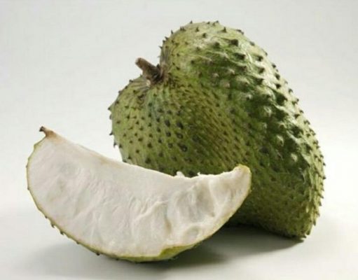 bibit sirsak madu Banda Aceh