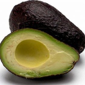 Bibit Tanaman Alpukat Buah Hass Australia Wonogiri