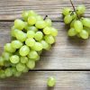 bibit tanaman buah anggur hijau Jakarta