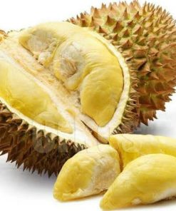bibit tanaman buah durian montong okulasi Maluku