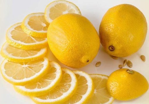 bibit tanaman buah jeruk lemon impor berbuah Langsa