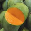 bibit tanaman buah mangga arumanis Sumatra Selatan
