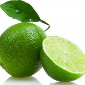 her0 bibit tanaman buah jeruk nipis super cl3n Sumatra Utara