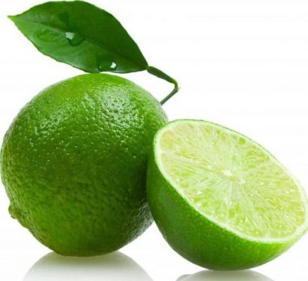 her0 bibit tanaman buah jeruk nipis super cl3n Sumatra Utara