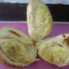 jual bibit buah Bibit Buah Durian Gundul Okulasi Stok Terbatas Bolaang Mongondow Selatan