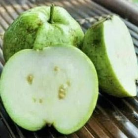 kw1 bibit tanaman buah jambu kristal tanpa biji 1 Kalimantan Timur